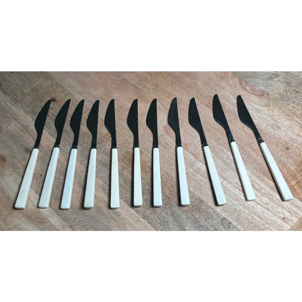 Vintage Set Of 11 Anacapa Stainless Cubed Plastic Handle APF DINNER KNIFE